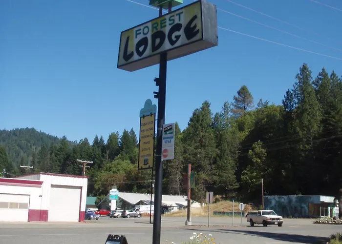 Forest Lodge Motel