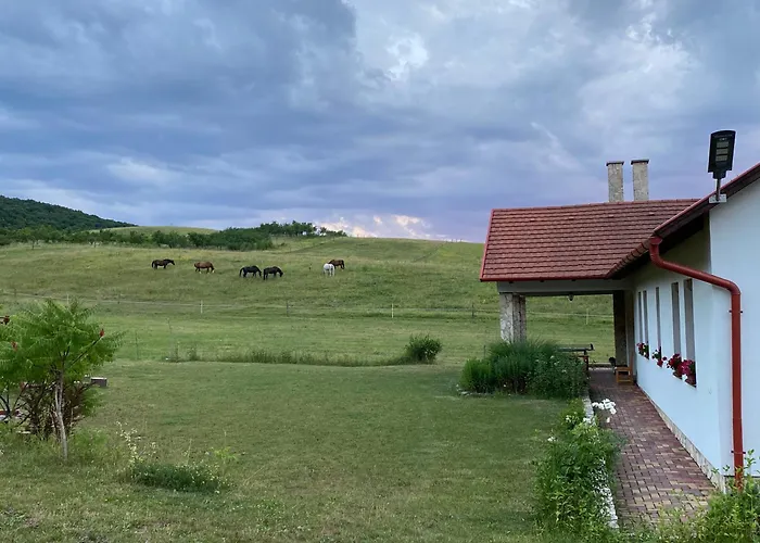 Banvoelgye Vendeghaz Es Apartmanok