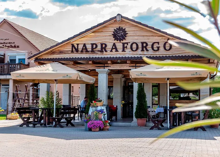 Napraforgo Vendeghaz