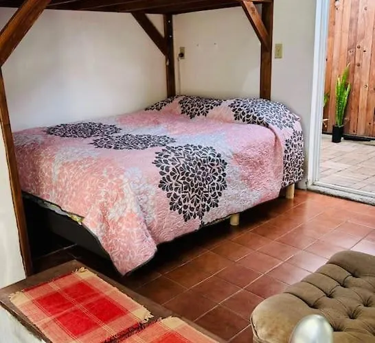 Jaguar Studio