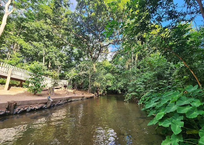 Apto no Park Veredas com acesso ao rio de águas quentes e área de lazer espetacular