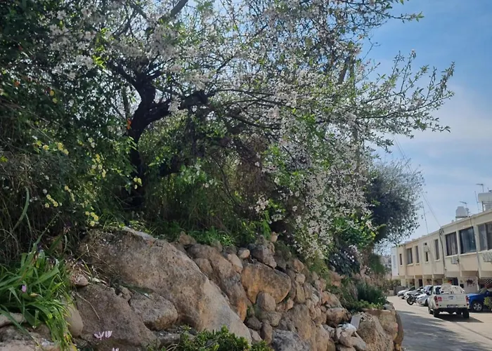 Mediterranean Valley