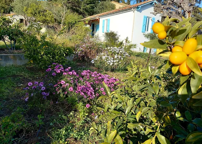 Maison Indivi 4-6 Pers Face A La Mer Grand Jardin Ideal Famille Avec Animaux Saint Clair Le Lavandou