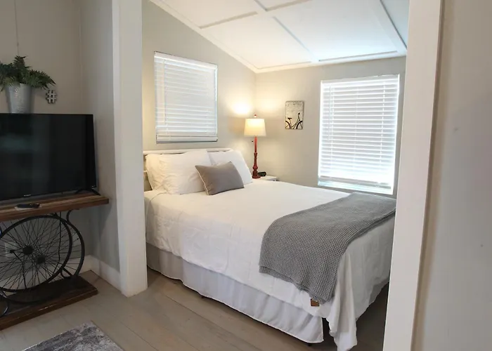Cozy Apartment Overlooking Downtown And Park No Kids, No Pets