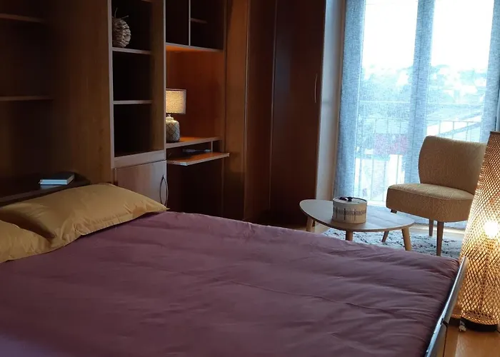 Vue Mer A Carantec Grand Appartement Avec Balcon Parking Prive Et Plage A Pied