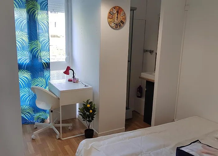 Chambre Dans Un Appartement En Colocation