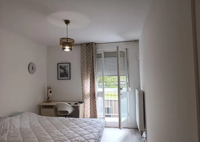 Chambre Dans Un Appartement En Colocation