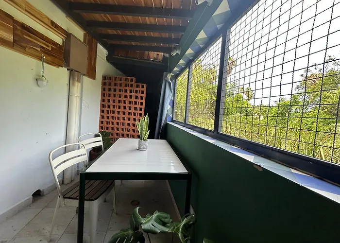 Departamento En El Centro De Todos Santos