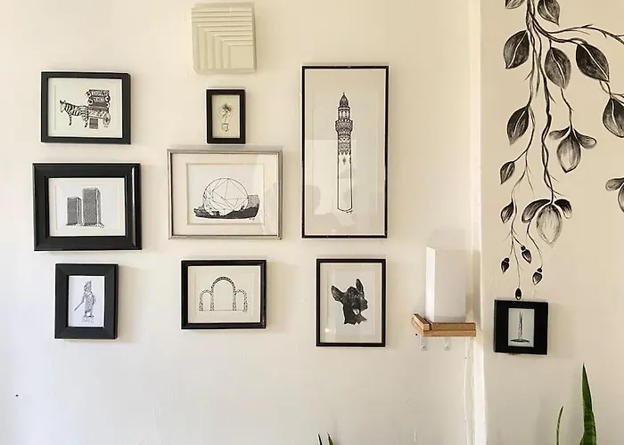 Zebra Studio