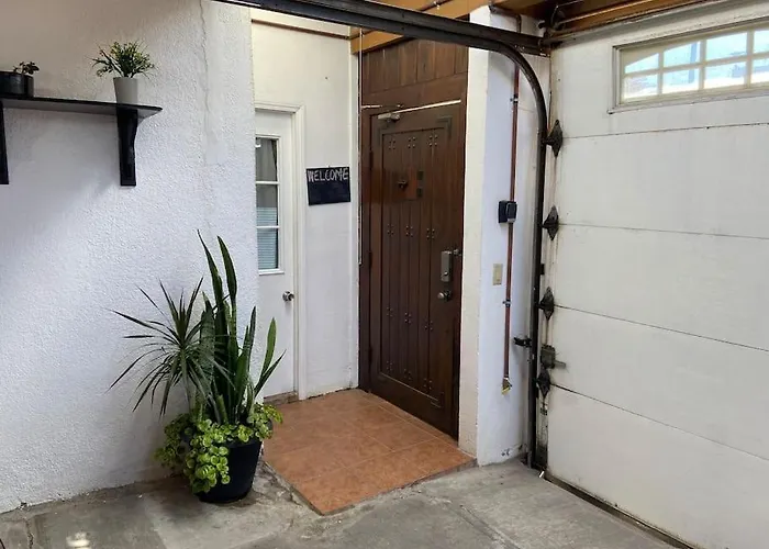 Zebra Studio