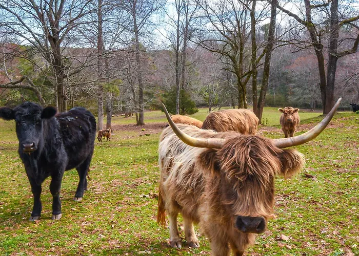 Converted Barn Couple'S Oasis Near Tallulah Gorge