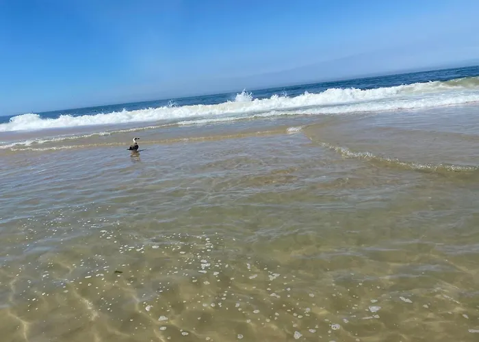 Bleu Ocean