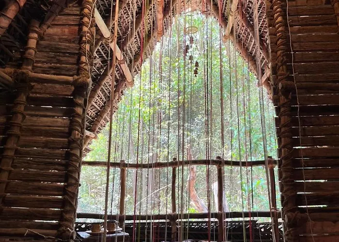 Nebula Nest Cafe & Hostel