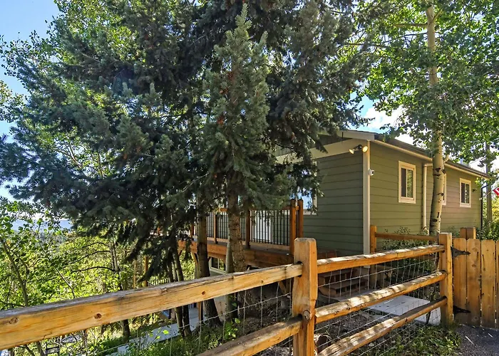 The Tree House