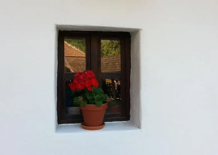 Zempleni Pitvaros Piheno