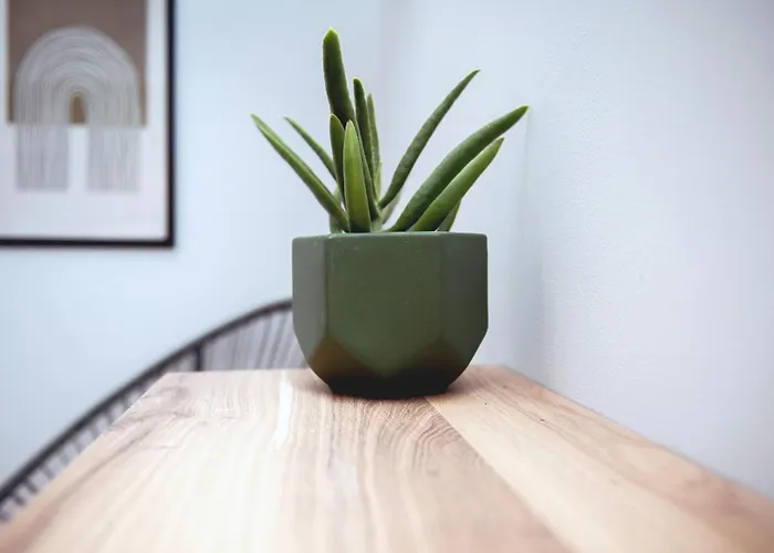 Hygge House