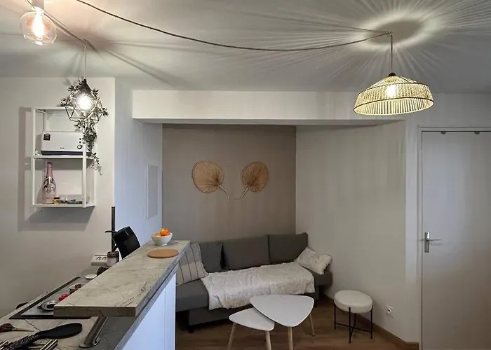 Bel Appartement Vue Mer Acces Direct Plage, Wifi Fibre Gratuit