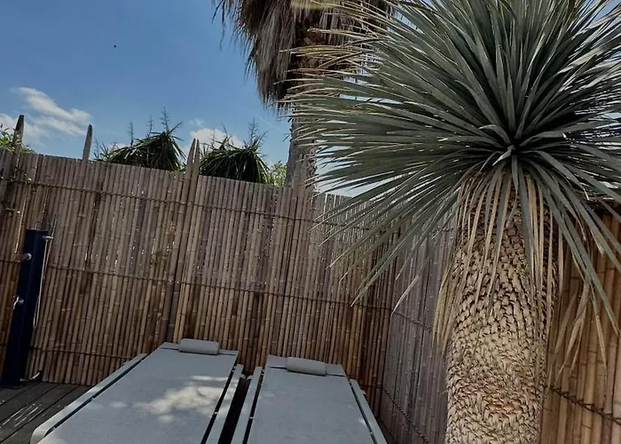 Maison Luxe 3 Ch Piscine Spa, Plage Et Port 5 Mn, St Tropez 15 Mn