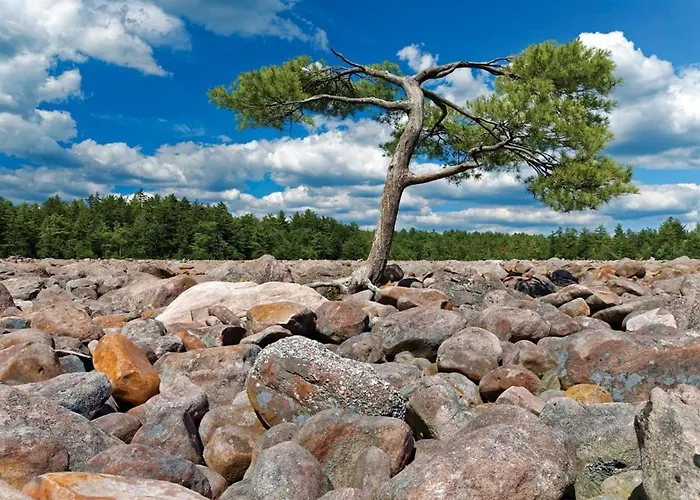 Whiskey Pines Retreat! Single Level Home, Outdoor Firepit, Ac, Bbq! Sleeps 9 In Lake Harmony!