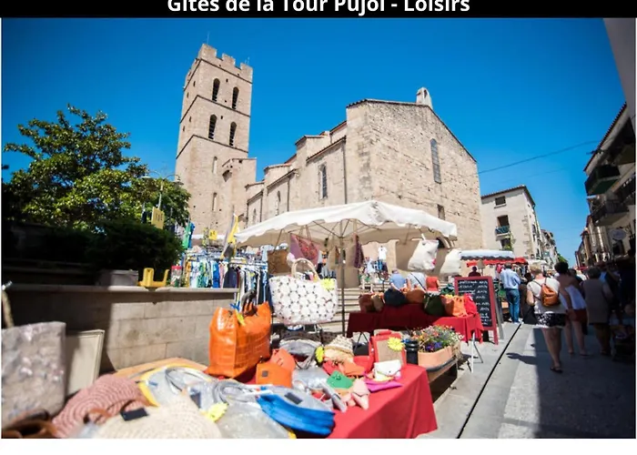 Les Gites De La Tour Pujol