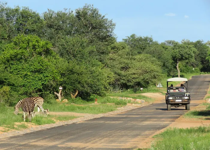 Wild Dog Guest Lodge