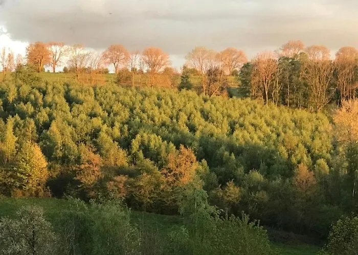 Duplex Avec Superbe Vue Boisee