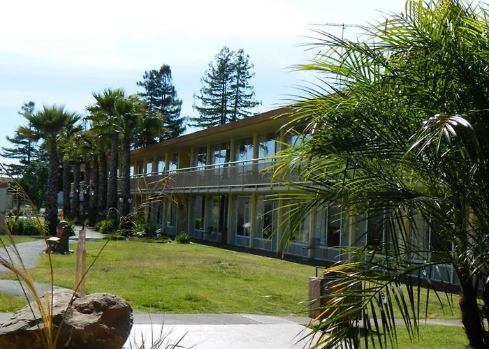 Palms Inn