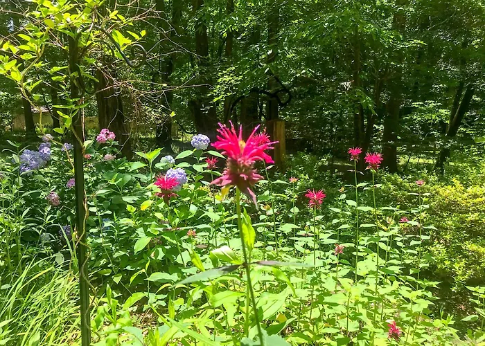 Mary'S Place - Studio Surrounded By Nature But Close To High Point