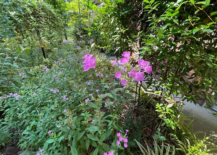 Mary'S Place - Studio Surrounded By Nature But Close To High Point