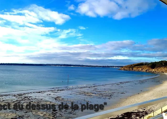 Studio Les Trois Etoiles De Mer