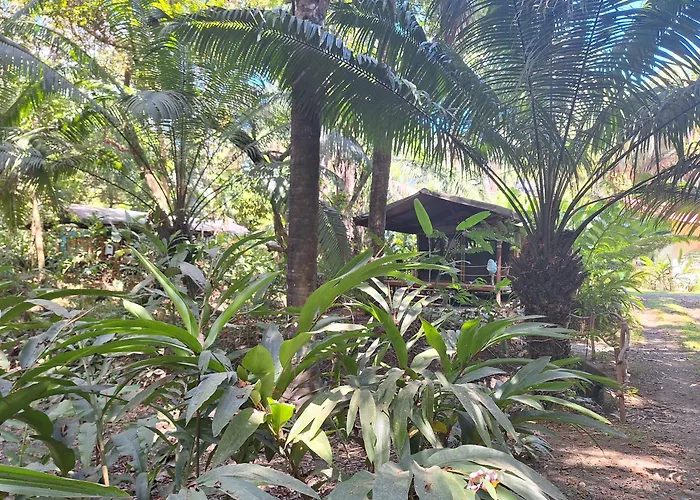 Four Monkeys Eco Lodge - Jungle & Beach