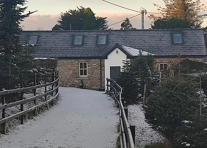 The Old House At Belfield