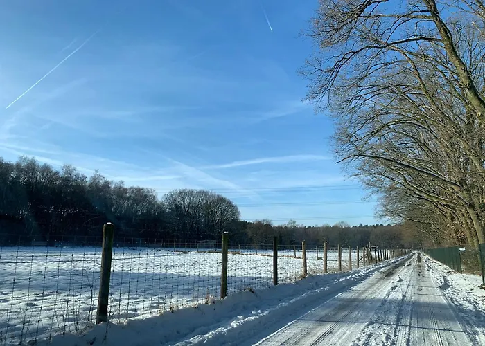 Chalet Liquidambar