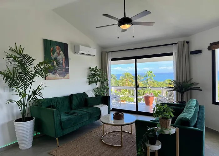 Catalina, Cabrera Oceanview Multi 2 Bd 2 Bath Condo Units With Balcony And Pool