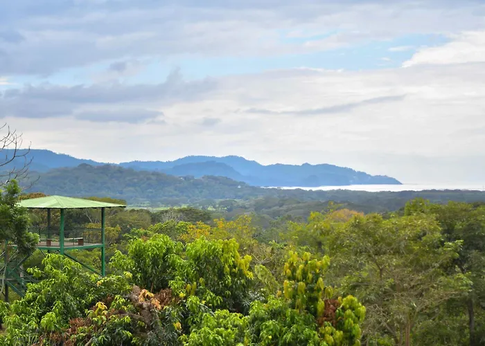 Tarcoles Birding Lodge