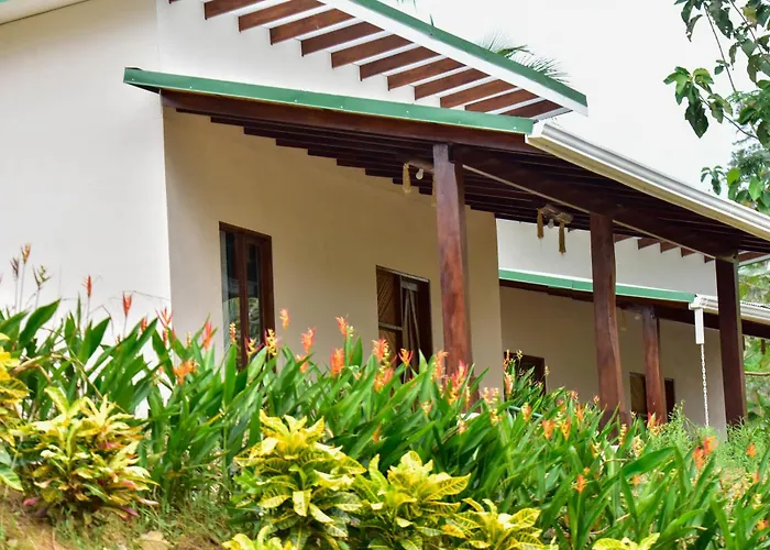 Tarcoles Birding Lodge