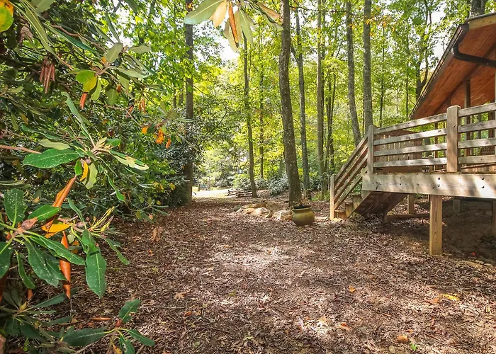 Creekside Comfort