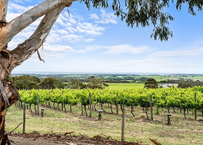 Willunga House - Fireplace Vineyard Views