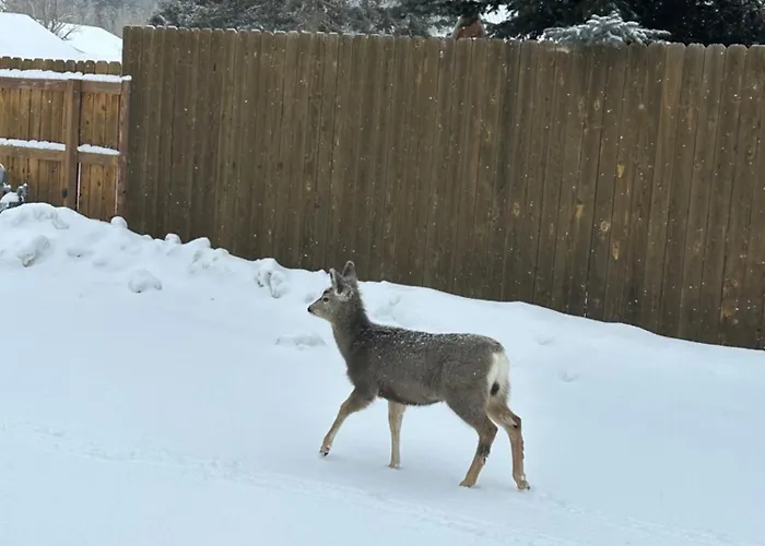Deer Lodge