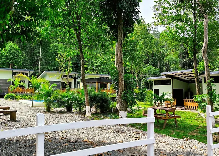 Casa Black Chaini