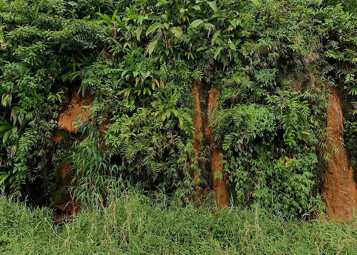 Le Petit Paradis