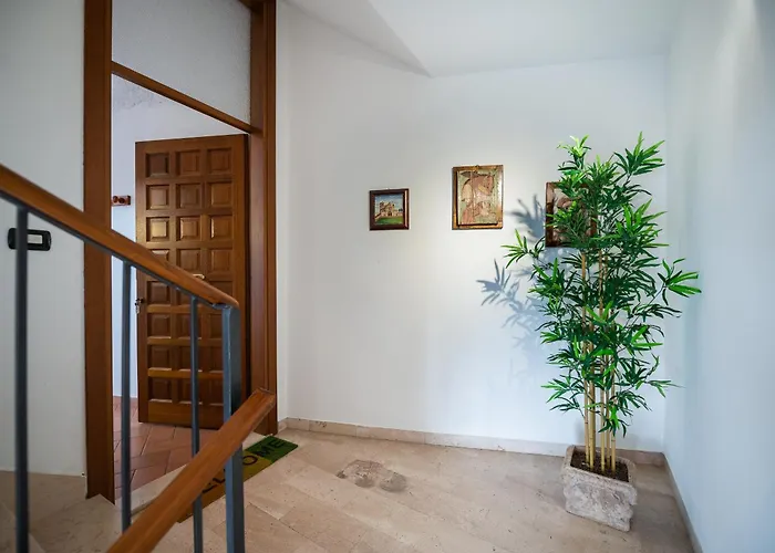 Casa Vacanze Frate Elia - A 50 Mt Dalla Basilica Di San Francesco