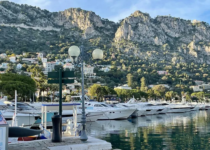 Luxury Top Floor Apartment With Terrace - Beaulieu Sur Mer