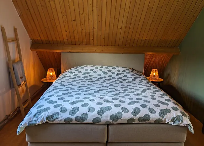 Ruime vrijstaande vakantiewoning aan Veerse meer, 6 persoons