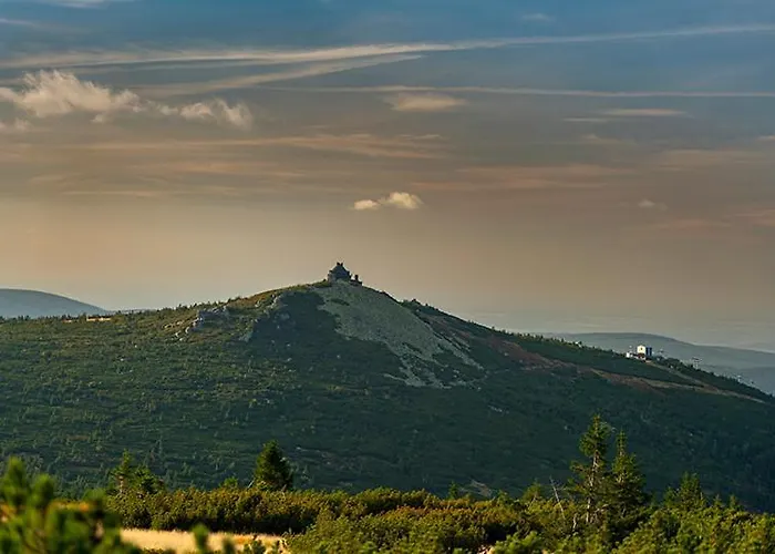 Gorska Roza