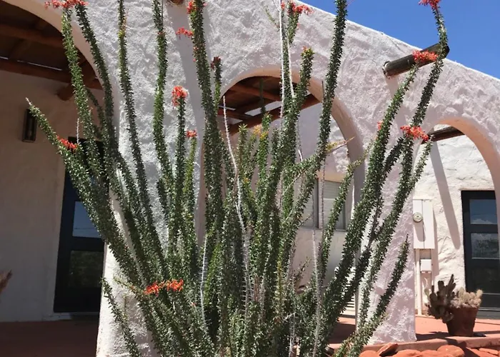 Sierra Del Feugo