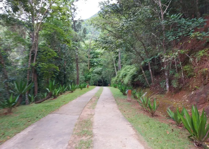 Quintal Da Mata