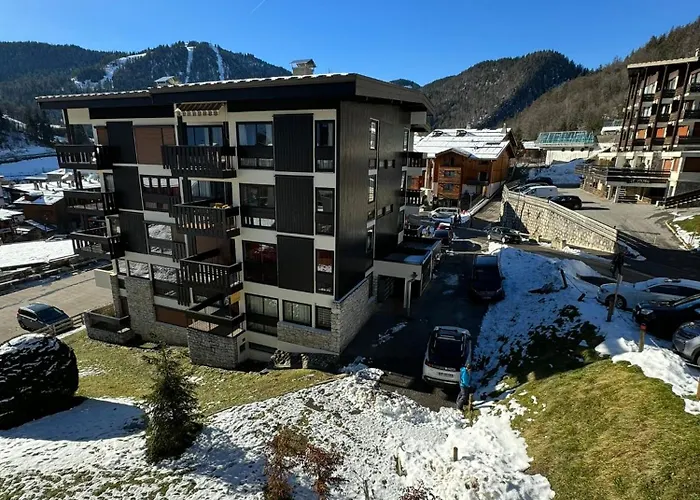 Appartement T2 Ambiance Chalet Centre Village Proche Des Commerces Et Des Pistes Wifi