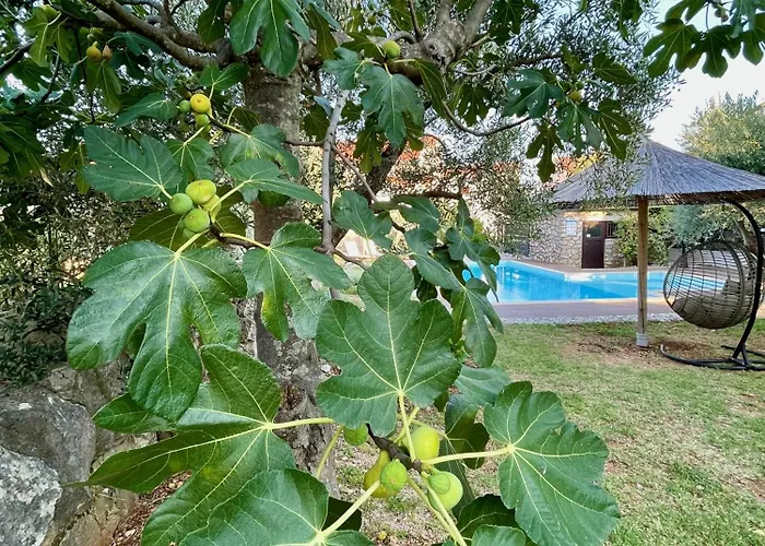 Villa Cimic