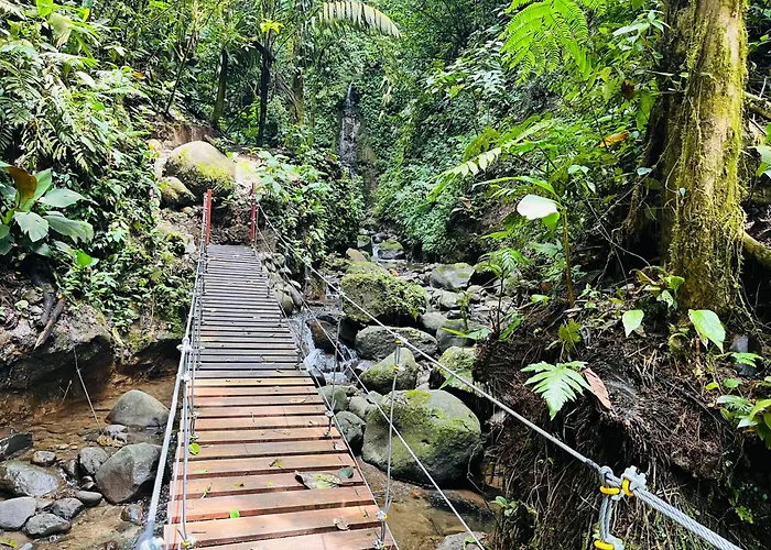 The Wellness Park Costa Rica